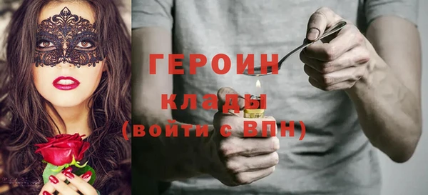 шишки Нестеровская